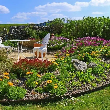 Daly's House فندق مبيت وإفطار *